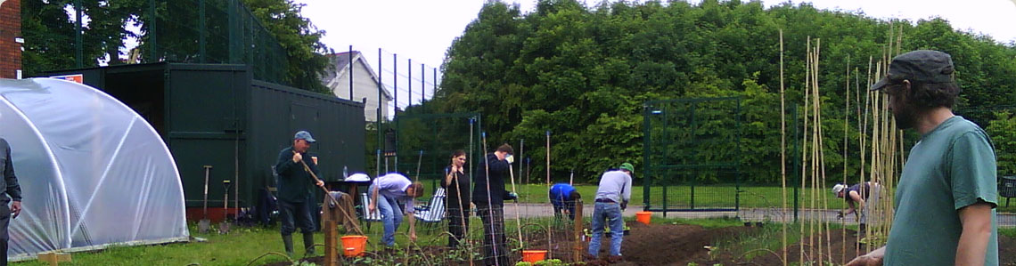 Grow Community Gardens